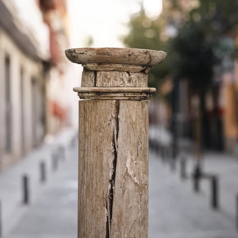 COLUMNA ITALIANA — foto 2